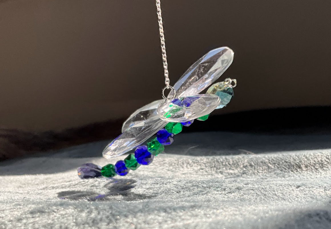 Blue/Green Dragonfly