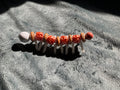 Large Orange Pearl Centipede