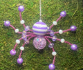 Purple Striped Spider